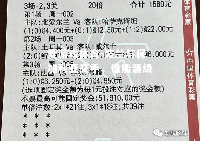 爱游戏体育-波兰与保加利亚交手，谁能晋级